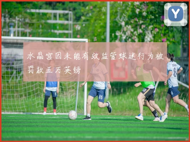 水晶宫因未能有效监管球迷行为被罚款五万英镑
