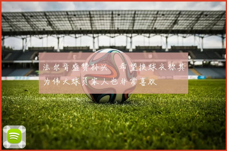 法尔肯盛赞孙兴慜希望换球衣称其为伟大球员家人也非常喜欢